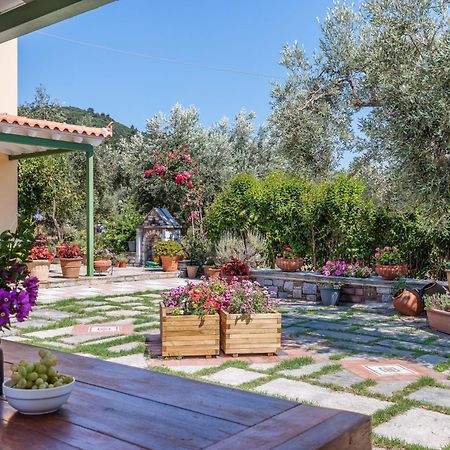 Aretousa Studios & Apartments سكوبيلوس تاون المظهر الخارجي الصورة