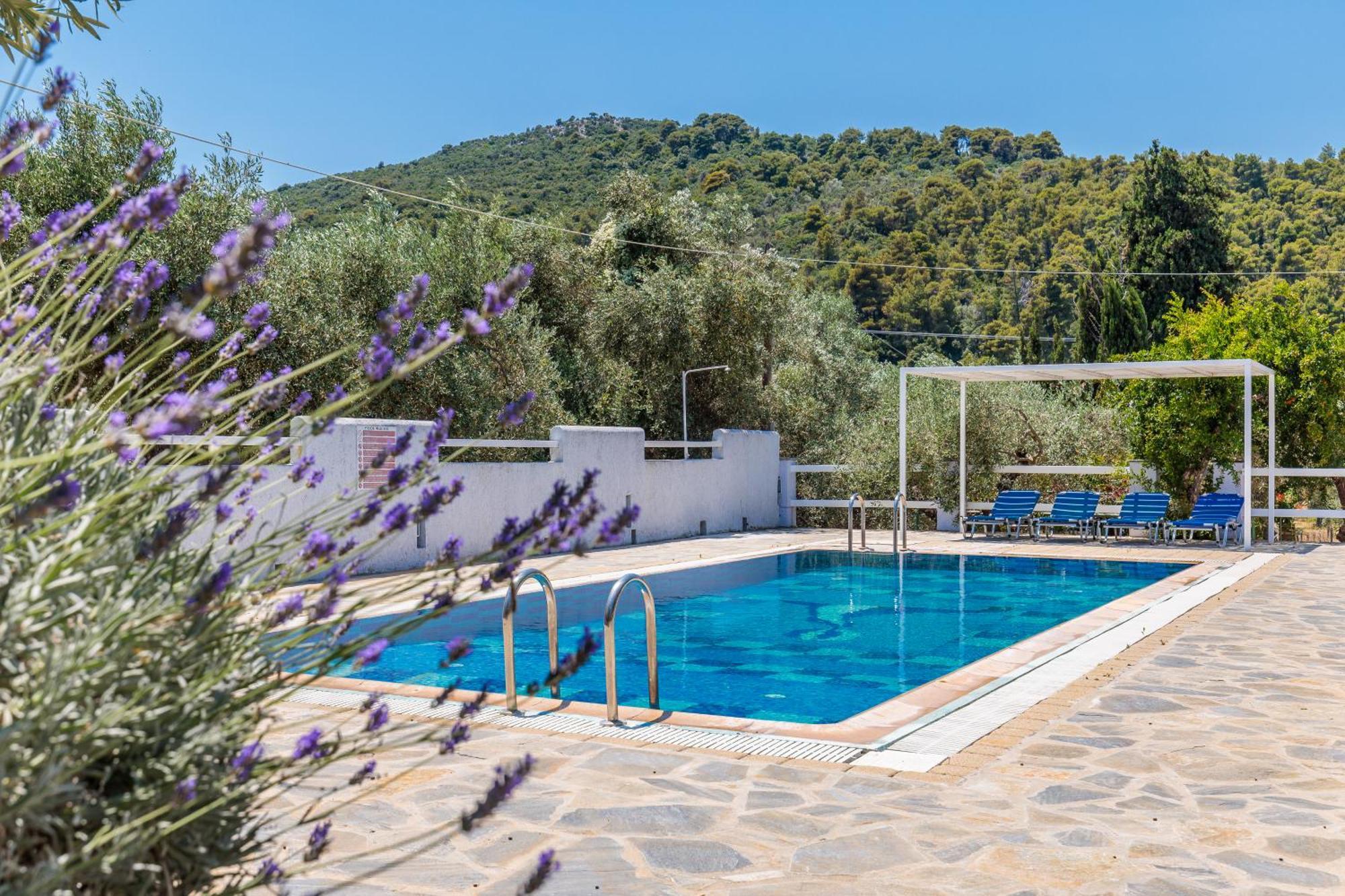 Aretousa Studios & Apartments سكوبيلوس تاون المظهر الخارجي الصورة